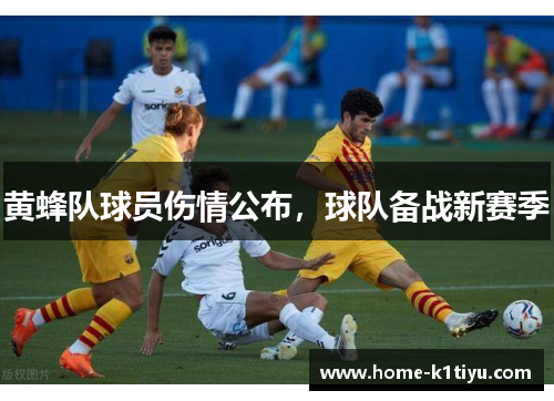 黄蜂队球员伤情公布，球队备战新赛季
